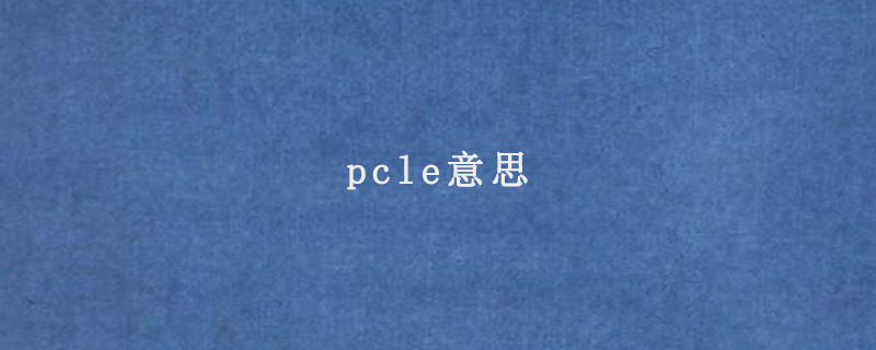 pcle意思