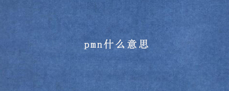 pmn什么意思