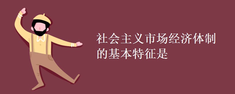 社会主义市场经济体制的基本特征是