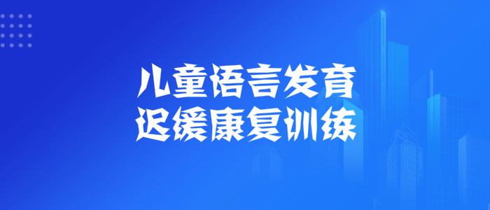 2022年武汉语言发育迟缓培训学校实力口碑一览