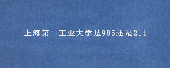 上海第二工业大学是985还是211